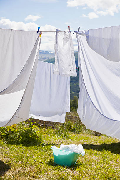 Clean Cotton 16 oz Beeswax Candles for Sale Near Me - Affordable Natural Candles